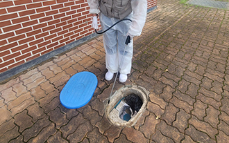 실외 바닥 방역 사진